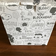 ■スヌーピー電気ケトル■0.6L■新品未使用の画像