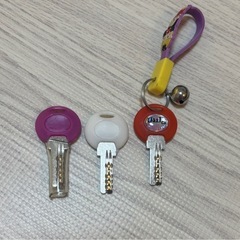 ブリヂストン　22インチ自転車（女子）の画像