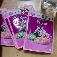 猫トイレの画像