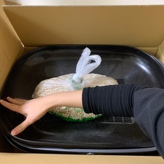 猫トイレの画像