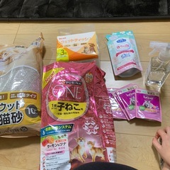 猫トイレの画像