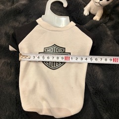 犬猫用　Tシャツ？　の画像