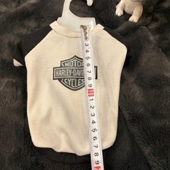犬猫用　Tシャツ？　の画像