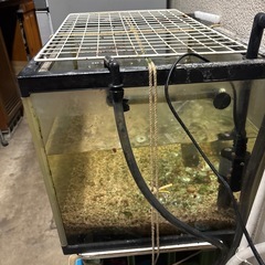 問い合わせ多数の為一時中止❗️中古80cm水槽と濾過器の画像