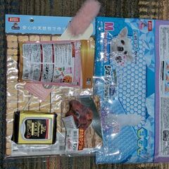 【未使用】猫グッズの画像