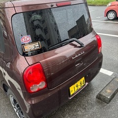 アルトラパンの画像