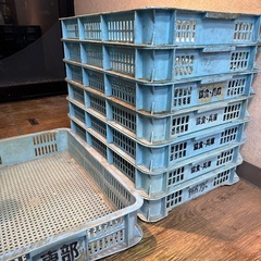 トレーコンテナ　厨房　パレット　8枚セット売りの画像