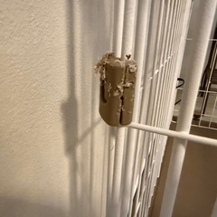 犬用　ケージ　　使用感ありの画像