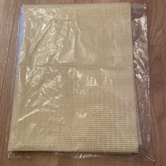 竹脇まりな　ジョイントマットの画像