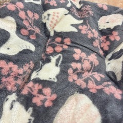 ペットベッド《お話中》の画像