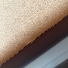 ソファ2.5人掛け アイボリー合皮×ウォールナット材 北欧カフェ風の画像