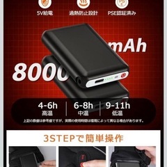 暖か電熱グローブ　散歩などに！Lサイズ　　の画像