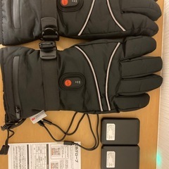 暖か電熱グローブ　散歩などに！Lサイズ　　の画像