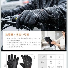 暖か電熱グローブ　散歩などに！Lサイズ　　の画像