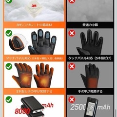 暖か電熱グローブ　散歩などに！Lサイズ　　の画像