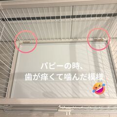 【美品】インテリアに馴染む アイリスオーヤマ製 犬 ゲージ ホワイトウッドの画像