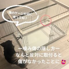 【美品】インテリアに馴染む アイリスオーヤマ製 犬 ゲージ ホワイトウッドの画像