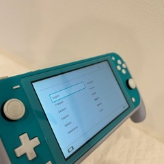 Switchライト　ターコイズ　液晶フィルム、カバー付きの画像