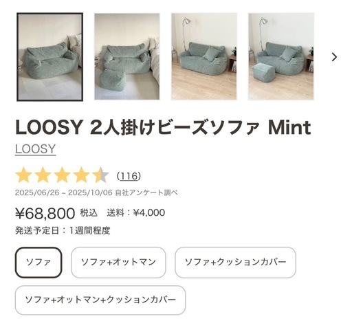 LOOSY 2人掛けビーズソファ ミント