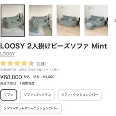 LOOSY 2人掛けビーズソファ ミントの画像