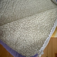 90〜100センチの画像