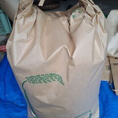 新米　もち米　籾　10キロ の画像