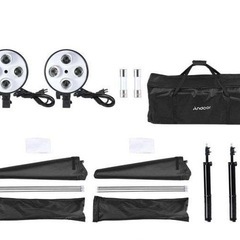 定常光ライトセット 照明14点キット ソフトボックス 電球ソケット 45W電球 ライトスタンド キャリングバッグ付きの画像