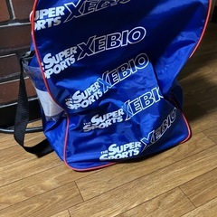 スキー靴　GROWILL 25センチ  おまけ付きの画像