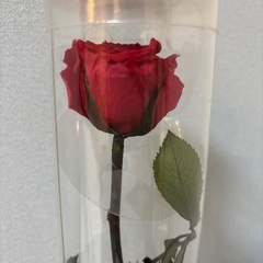 薔薇のブリザードフラワー1本の画像