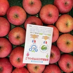 愛媛県産蜜柑1袋の画像