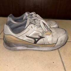 MIZUNO安全靴の画像