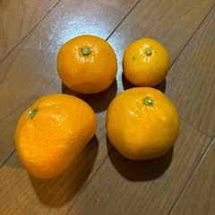 みかん５キロの画像