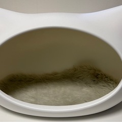 【新品】 ねころん(クッション付き) ベッド ペット 猫 犬 ハウスの画像