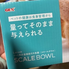 スケールボールの画像