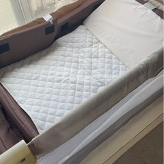 ベビーベットの画像