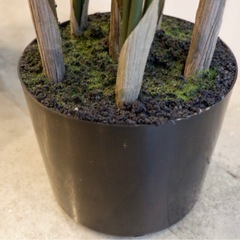 アーティフィシャルグリーン　3点セットの画像