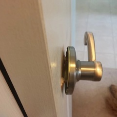 室内ドアノブ大丈夫ですか？の画像