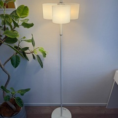 【美品】 FrancFranc  フロアランプ 白の画像