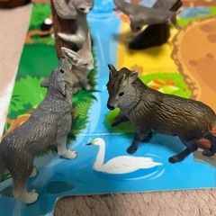 アニア　動物セットの画像