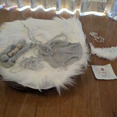 ニューボーンフォト 撮影セット(衣装と小物とバスケット)の画像