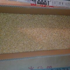 長芋贈答用５Ｋ箱入りの画像