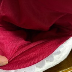 ピンクのビックなサメの画像