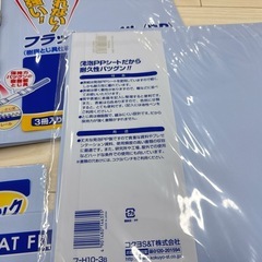 フラットファイル21枚新品未開封の画像