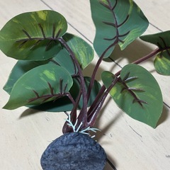 コトブキ リラックスリーフ ベタの水草スタンドの画像