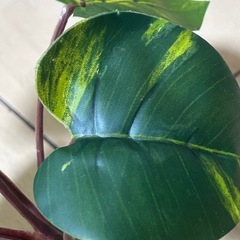 コトブキ リラックスリーフ ベタの水草スタンドの画像