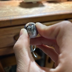 別注ヒラマサ160の画像