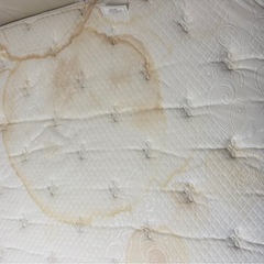 【IDC大塚家具】REGALIA レガリア Perfection Premierダブルベッドの画像