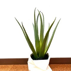 アーティフィシャルグリーン　3点セットの画像