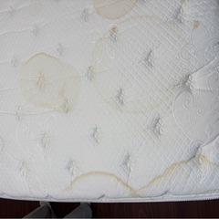 【IDC大塚家具】REGALIA レガリア Perfection Premierダブルベッドの画像