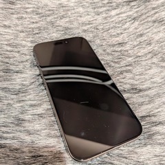 iPhone15pro 　の画像